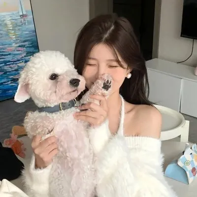 律政双女主大戏《好搭档》张娜拉：最强离婚律师手撕渣男，剧情极度舒适极度爽快